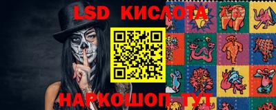 стафф Гай