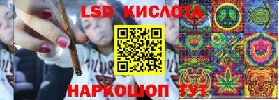 гидра Гатчина