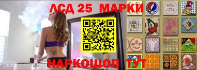 гидра Гатчина