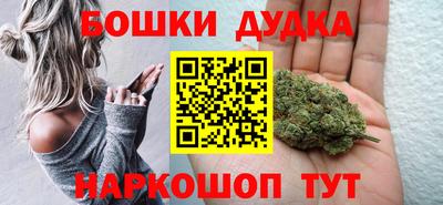 стафф Гай