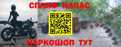 гидра Гатчина
