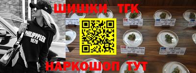 гидра Гатчина