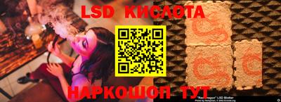 стафф Гай