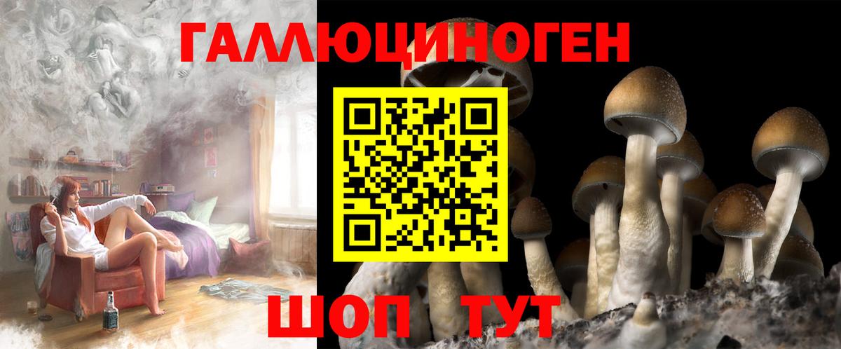 Псилоцибиновые грибы мухоморы Горячий Ключ