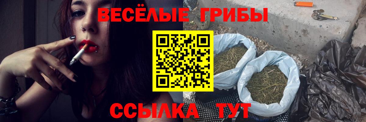 продажа наркотиков  Вход с VPN  Горячий Ключ  Галлюциногенные грибы Magic Shrooms 